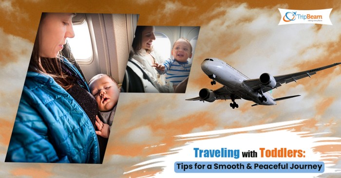 Toddlers preschoolers Traveling with Toddlers Tips