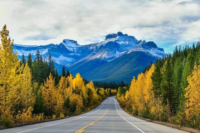 Canada autumn scenic drives drive rockies look most japan beauty places travelling travel Scenic Road Trip Inspiration