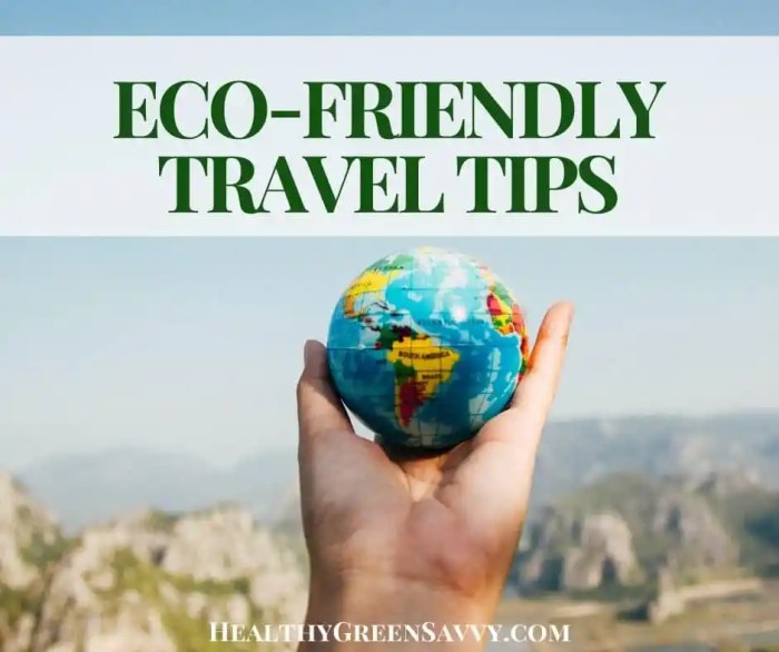Eco-Friendly Travel Tips and Hacks